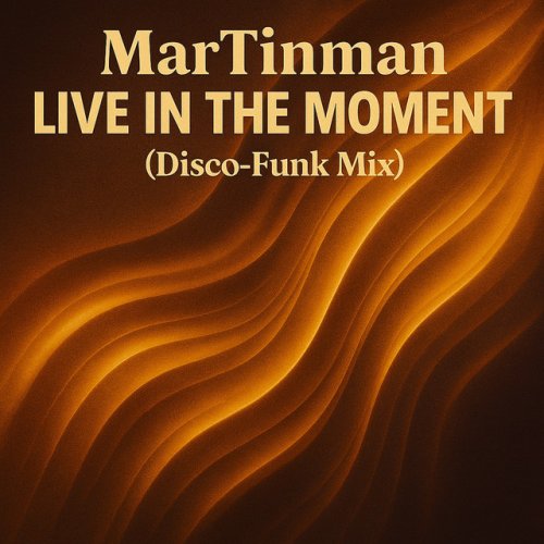 Live in the Moment (Disco Funk Mix) cover artwork